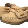 Sperry Kids A/O Crib (Infant/Toddler) -Clarks Store 71DCBWHsxvL. AC SR920736