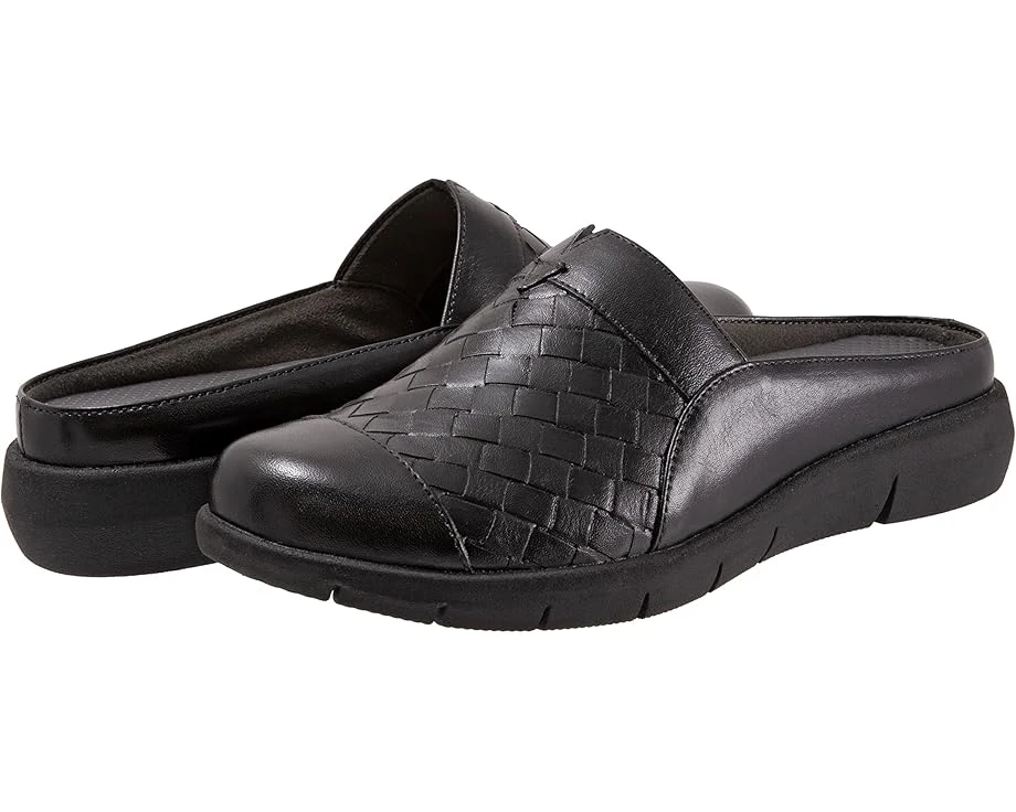 SoftWalk San Marcos II 3 SoftWalk San Marcos II